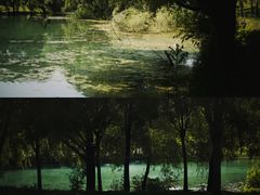 -长白岛森林公园