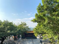 -深圳仙湖植物园-停车场