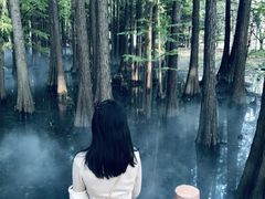-东湖落雁景区
