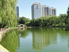 -团结湖公园