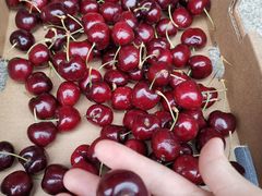 -红星农博物流中心