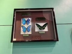 -上海昆虫博物馆