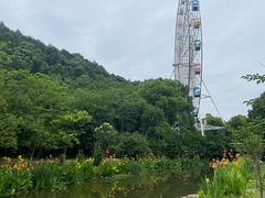 -峙山公园