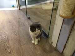 -小时光咖啡馆(开森度假森林店)