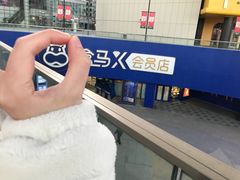 -盒马X会员店(王府井奥莱UP TOWN店)