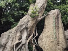 -宝岩生态观光园