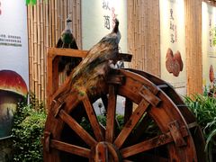 -大理董·董家小厨野生菌火锅(古城旗舰店)