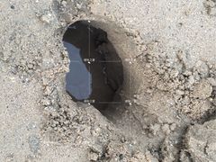 -仰口沙滩