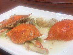 -大金山酒店
