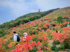 -瑞安圣井山景区