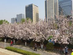 -海棠花溪(元大都城垣遗址公园)