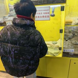 -神奇动物撸宠馆·羊驼·小浣熊·异宠(豫园店)