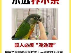 -爱侣宠医·鹦鹉专科·小型哺乳类·异宠专科(灵石路店)