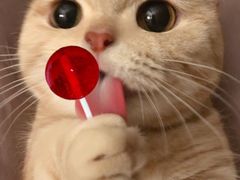 -萝鸡思味秘制泡菜(万家丽店)