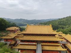 -东莞市大岭山森林公园