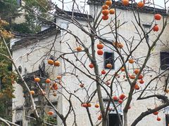 -篁岭景区
