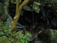 -大姆山草场