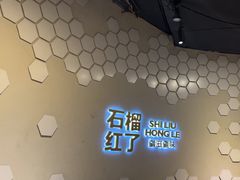 -石榴红了·非遗酥皮烤包子·新疆菜(瑞豪店)