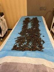 -北京嘉禾国际母婴产后康复中心(南苑中心店)