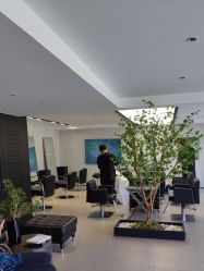 -付军剪艺JF ProSalon