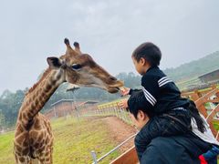 -黄龙溪欢乐田园