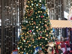 -海岸·高空海景餐厅(厦门康莱德酒店)