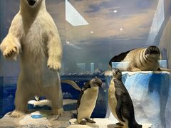 -国家自然博物馆