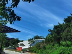 -北京西山国家森林公园