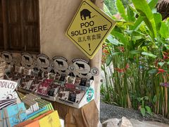 -大象粑粑造纸公园