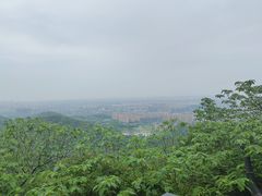 -杭州半山国家森林公园