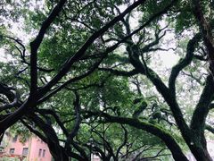 -中山大学（广州校区南校园）图书馆