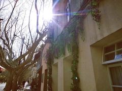 -溧阳路经典老洋房