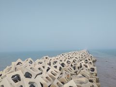 -东疆建设开发纪念公园