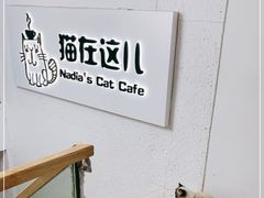 -猫在这儿猫咪咖啡馆·撸猫馆