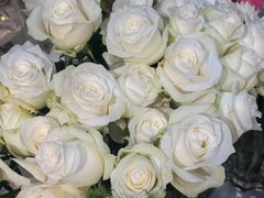 -花屿鲜花(淡水店)