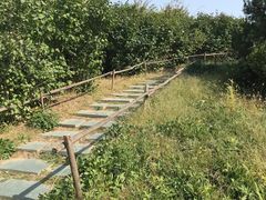 -马家湾湿地公园