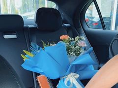 -上海星瀚奔驰4S店(红柳路店)