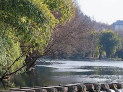 -花溪公园