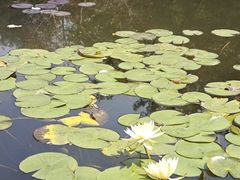 -云溪植物园