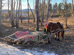 -北极村旅游风景区