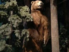 -陕西自然博物馆