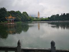 -三塔倒影公园