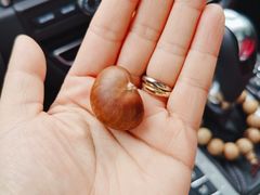 -阿男野栗王(金门路店)