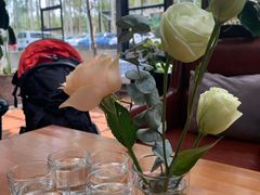-桉树林A coffee 森林餐厅(三圣乡店)