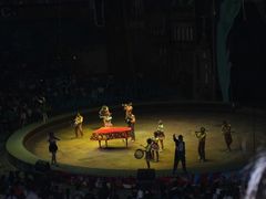 -俄罗斯国家大马戏团