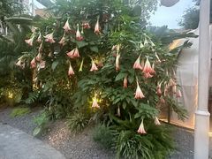 -悦见花开·花园里的火锅·露营·下午茶