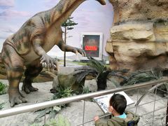 -国家自然博物馆