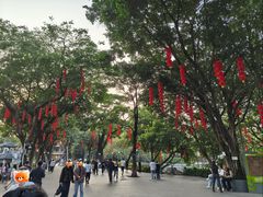 -荔湾湖公园