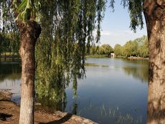 -东坝千亩湖公园