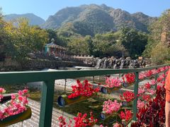 -京东石林峡风景区
